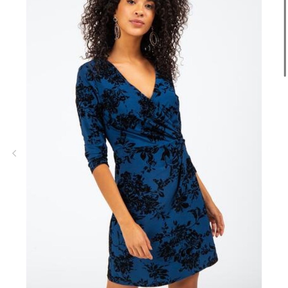 NWT Francesca’s Valenteen dress
